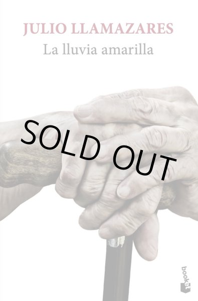 画像1: LA LLUVIA  AMARILLA (1)
