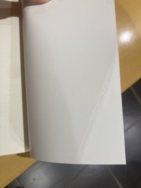 画像3: 【訳ありセール品】EL TIEMPO ENTRE COSTURAS／マリア・ドゥエニャス『情熱のシーラ』（原書） (3)